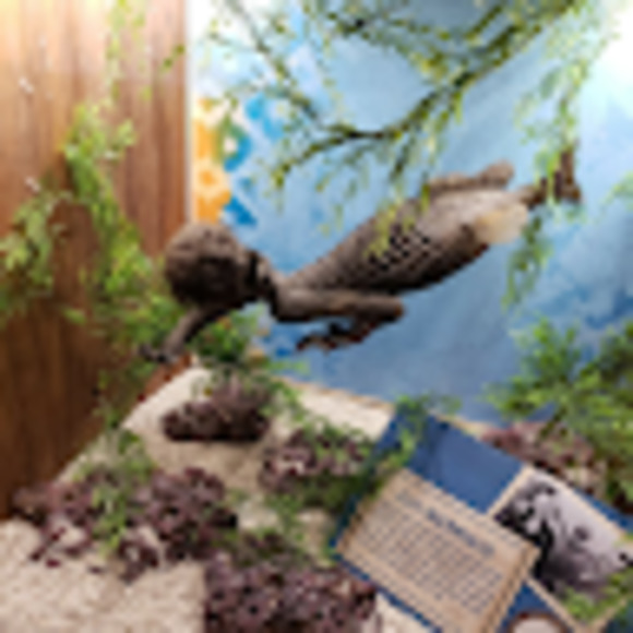 Meet your Posher, Josh - Picture 1 of 1